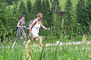 Nordic Walking in der Wildschönau (Foto. Marikka-Laila Maisel)